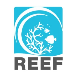 Icône de REEF